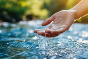 Photo by VirtuLens (Adobe Stock)