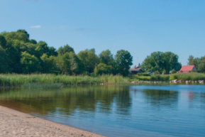 1400 x 350 px (1)